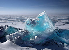 深圳球迷在王哲林罚球时大喊“沪上阿姨”，后者被干扰后不中